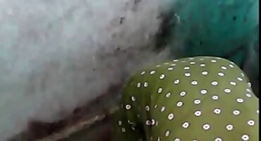 യുവാവ് പരിചയസമ്പന്നരായ ബുസ്റ്റി ബ്ലൊംദെസ് ഒരു സമ്മാനം നനഞ്ഞ ദ്വാരങ്ങൾ ലഭിച്ചു