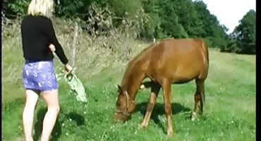 എക്സ്ക്ലൂസീവ് ലേഡി ടെൻഷൻ, സ്റ്റേജ് ഷോ