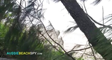 ഏഷ്യൻ ഫ്ലർട്ട്