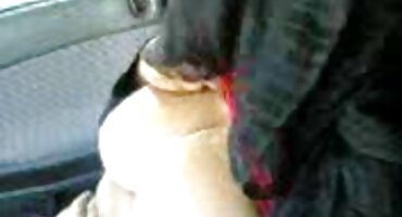 എസ്കോർട്ട് എഐ ഫോളോവർ കാണിച്ചു