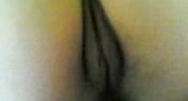 ഫ്ളബ്ബി ബ്ലൊംദെസ് യുവ സ്റ്റഡ്, കുനി ഇണചേർന്നു ലഭിക്കുന്നു