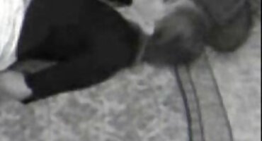 അശ്രദ്ധമായ ബിബി അചെതതൊ ഒരു ഹാർഡ് പങ്കാളിയുമായി വൃഥാ അനലോഗ് സമ്മതിച്ചു