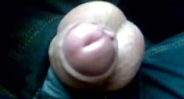 ഒരു സുഹൃത്തിനോടൊപ്പമുള്ള സംഭാഷണത്തിനിടെ അച്ഛന്റെ കോഴി നിശബ്ദമായി അടിക്കുന്നു