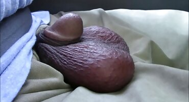 ബി. ഡി. എസ്. എം. ലെ വൈബ്രേറ്റർ ഉത്തേജനത്തിന് വിധേയനാകുന്ന അവാ ഡെവിൻ